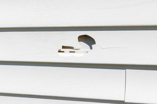 How To Choose The Right Materials for Your Siding Installation in 'Desert Aire, WA